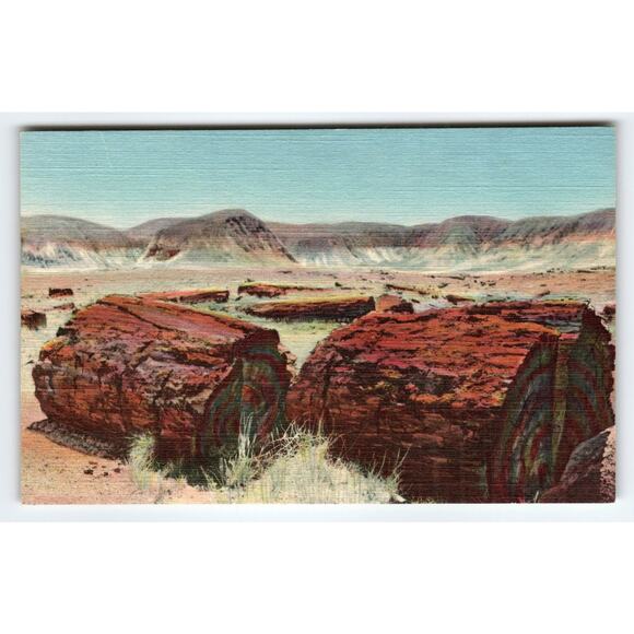 Vintage Agatized Logs Petrified Forest Arizona Linen Postcard - Picture 1 of 2